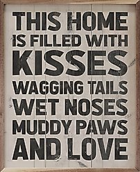 Kendrick Kisses Wagging Tails Wet Noses Muddy Paws Wall Décor, Whitewash, 8 x 10-in