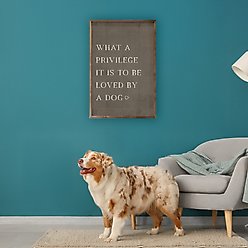 Kendrick What A Privilege Dog Wall Décor, 5 x 8-in slide 2 of 3