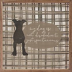Kendrick My Dog is Not Disobedient Plaid By Amylee Weeks Wall Décor, 8 x 8-in