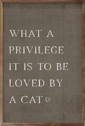 Kendrick What A Privilege Cat Wall Décor, 5 x 8-in