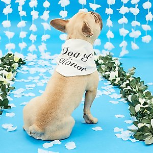 Hotel Doggy "Dog of Honor" Wedding Dog Bandana, Vanilla Ice, X-Small/Small