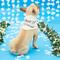Show in main carousel: Hotel Doggy "Dog of Honor" Wedding Dog Bandana, Vanilla Ice, X-Small/Small slide 1 of 8