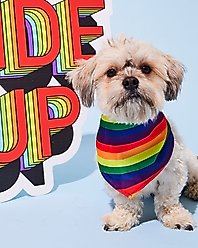 Hotel Doggy Rainbow Pride Dog Bandana, Multi, X-Small/Small