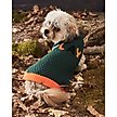Show in main carousel: Hotel Doggy "Play" Honeycomb Dog Sweater, Greener Pasture, Large slide 1 of 8