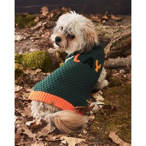 Hotel Doggy "Play" Honeycomb Dog Sweater, Greener Pasture, Large