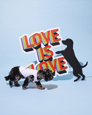 Show full view: Hotel Doggy Valentine's Day "Love Is Love Is Love" Pride Tank Top Dog Jersey, White, Large slide 8 of 9