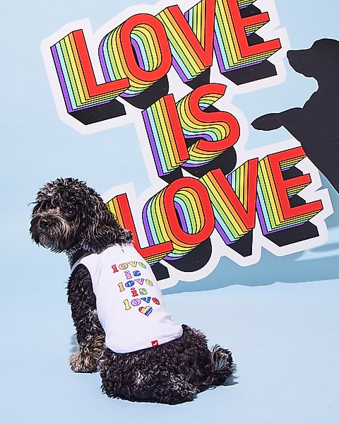 Show full view: Hotel Doggy "Love Is Love Is Love" Pride Tank Top Dog Jersey, White, X-Small slide 2 of 8