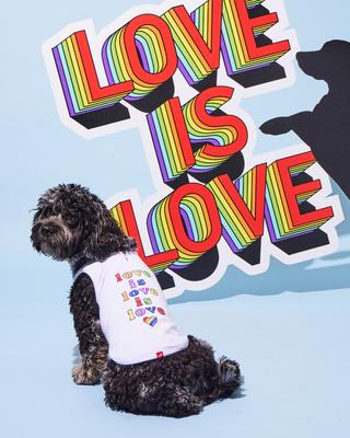 Show full view: Hotel Doggy Valentine's Day "Love Is Love Is Love" Pride Tank Top Dog Jersey, White, Large slide 3 of 9