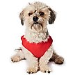 Show in main carousel: Hotel Doggy "Born This Way" Pride Tank Top Dog Jersey, Fiery Red, X-Small slide 4 of 7
