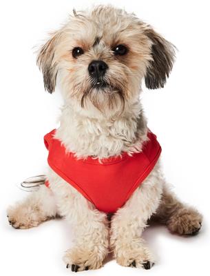 Show full view: Hotel Doggy "Born This Way" Pride Tank Top Dog Jersey, Fiery Red, Small slide 4 of 7