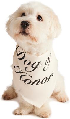 Show full view: Hotel Doggy "Dog of Honor" Wedding Dog Bandana, Vanilla Ice, Medium/Large slide 5 of 7