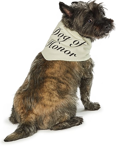 Show full view: Hotel Doggy "Dog of Honor" Wedding Dog Bandana, Vanilla Ice, X-Small/Small slide 3 of 7
