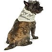 Show in main carousel: Hotel Doggy "Dog of Honor" Wedding Dog Bandana, Vanilla Ice, X-Small/Small slide 3 of 7