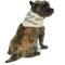 Show in main carousel: Hotel Doggy "Dog of Honor" Wedding Dog Bandana, Vanilla Ice, Medium/Large slide 3 of 7