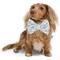 Show in main carousel: Hotel Doggy Birthday Collar Slide Dog Bow Tie, Vanilla Ice slide 1 of 4