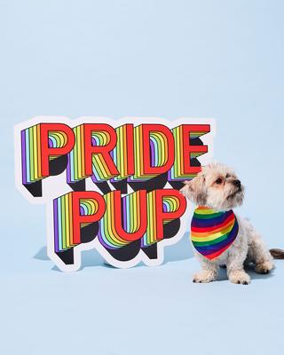Show full view: Hotel Doggy Rainbow Pride Dog Bandana, Multi, X-Small/Small slide 6 of 7