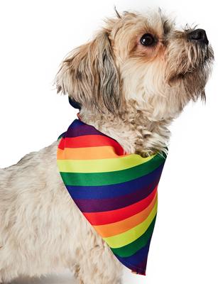 Show full view: Hotel Doggy Rainbow Pride Dog Bandana, Multi, Medium/Large slide 4 of 7