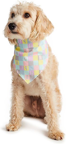 Show full view: Hotel Doggy Birthday Dog Bandana, Candy Pink, Large/X-Large slide 3 of 5