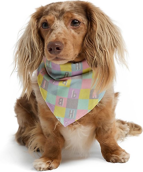 Show full view: Hotel Doggy Birthday Dog Bandana, Candy Pink, Large/X-Large slide 1 of 5