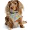 Show in main carousel: Hotel Doggy Birthday Dog Bandana, Candy Pink, Small/Medium slide 1 of 6