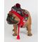Show in main carousel: Hotel Doggy Apres-Ski Winter Knitted Dog Scarf, Fiery Red, Small slide 5 of 6