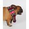Show in main carousel: Hotel Doggy Apres-Ski Winter Knitted Dog Scarf, Fiery Red, Small slide 3 of 6