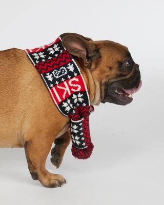 Show full view: Hotel Doggy Apres-Ski Winter Knitted Dog Scarf, Fiery Red, Small slide 3 of 6