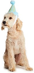 Hotel Doggy Plush Pompom Birthday Dog Hat, Light Blue, Large/X-Large