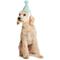 Show in main carousel: Hotel Doggy Plush Pompom Birthday Dog Hat, Light Blue, Large/X-Large slide 1 of 5