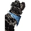 Show in main carousel: Hotel Doggy Acid-Wash Denim Dog Bandana, Lt Blue Denim, X-Small/Small slide 3 of 6