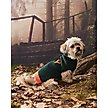 Show in main carousel: Hotel Doggy "Play" Honeycomb Dog Sweater, Greener Pasture, Large slide 7 of 8
