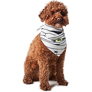 Hotel Doggy Halloween Mummy Dog Bandana, White, X-Small/Small