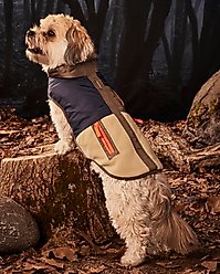 Hotel Doggy Mix Media Color Block Dog Jacket, Military Olive, X-Small