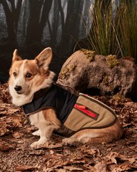 Hotel Doggy Mix Media Color Block Dog Jacket, Military Olive, Small slide 2 of 7