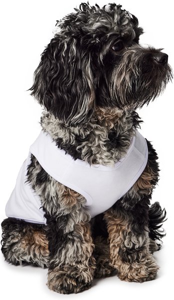 Show full view: Hotel Doggy "Love Is Love Is Love" Pride Tank Top Dog Jersey, White, X-Small slide 4 of 8
