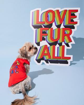 Show full view: Hotel Doggy "Born This Way" Pride Tank Top Dog Jersey, Fiery Red, Small slide 2 of 7