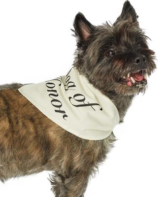Show full view: Hotel Doggy "Dog of Honor" Wedding Dog Bandana, Vanilla Ice, Medium/Large slide 4 of 7
