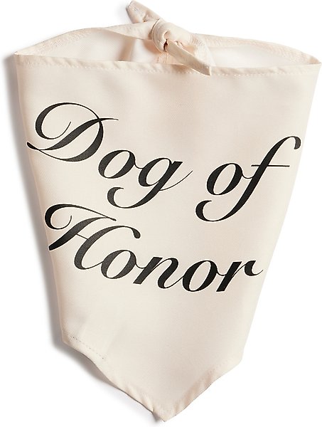 Show full view: Hotel Doggy "Dog of Honor" Wedding Dog Bandana, Vanilla Ice, X-Small/Small slide 6 of 7
