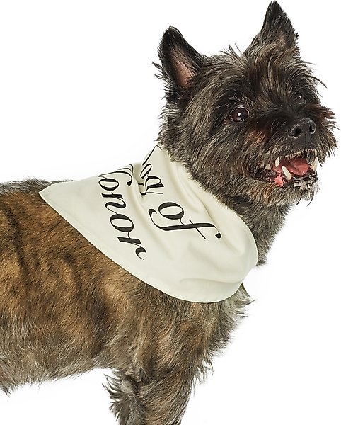 Show full view: Hotel Doggy "Dog of Honor" Wedding Dog Bandana, Vanilla Ice, X-Small/Small slide 4 of 7