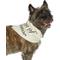Show in main carousel: Hotel Doggy "Dog of Honor" Wedding Dog Bandana, Vanilla Ice, X-Small/Small slide 5 of 8