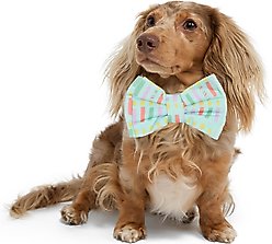 Hotel Doggy Birthday Collar Slide Dog Bow Tie, Light Turquoise