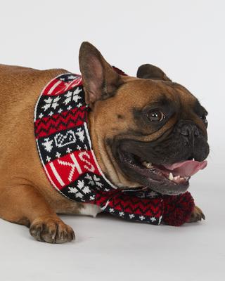 Show full view: Hotel Doggy Apres-Ski Winter Knitted Dog Scarf, Fiery Red, Small slide 2 of 6