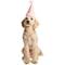 Show in main carousel: Hotel Doggy Plush Pompom Birthday Dog Hat, Candy Pink, Large/X-Large slide 1 of 4