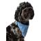 Show in main carousel: Hotel Doggy Acid-Wash Denim Dog Bandana, Lt Blue Denim, Medium/Large slide 2 of 6