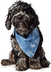 Hotel Doggy Acid-Wash Denim Dog Bandana, Lt Blue Denim, X-Small/Small