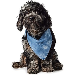 Hotel Doggy Acid-Wash Denim Dog Bandana, Lt Blue Denim, X-Small/Small