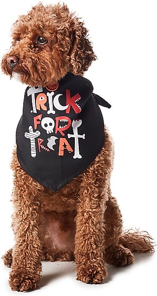 Show full view: Hotel Doggy Halloween "Trick for Treat" Dog Bandana, Black, X-Small/Small slide 1 of 4