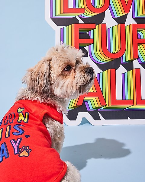 Show full view: Hotel Doggy "Born This Way" Pride Tank Top Dog Jersey, Fiery Red, X-Small slide 6 of 7