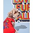 Show in main carousel: Hotel Doggy "Born This Way" Pride Tank Top Dog Jersey, Fiery Red, X-Small slide 6 of 7