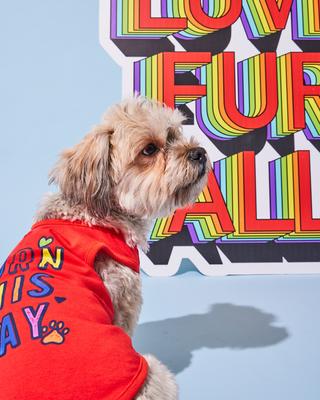 Show full view: Hotel Doggy "Born This Way" Pride Tank Top Dog Jersey, Fiery Red, Small slide 6 of 7